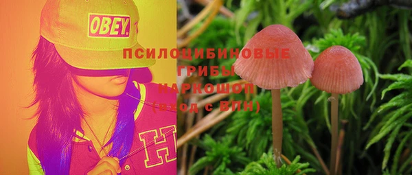 амф Белокуриха