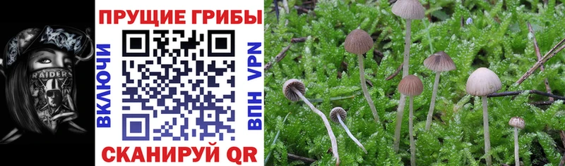 Псилоцибиновые грибы MAGIC MUSHROOMS  OMG ONION  Пыть-Ях 